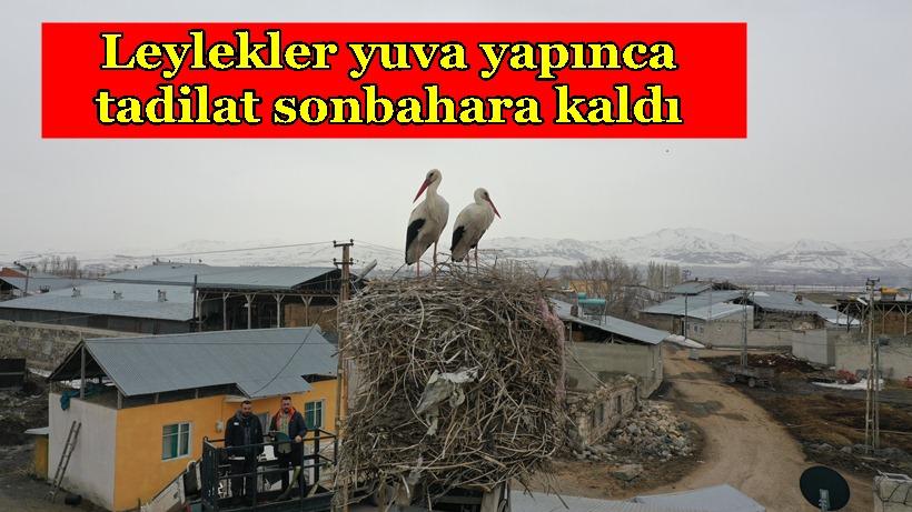 Leylekler yuva yapınca tandır bacasındaki tadilat sonbahara kaldı