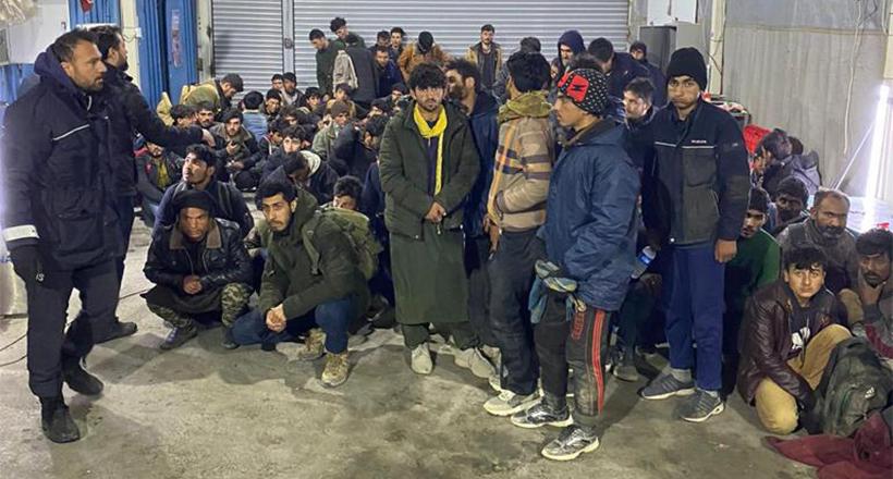 Kereste Yüklü Kamyonda Yakalandılar