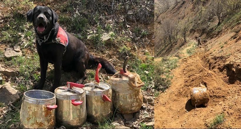 Düdüklü tencerelerin içinde 80 kilogram el yapımı patlayıcı bulundu