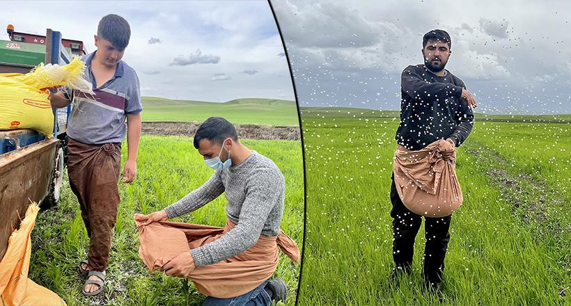 Dededen Kalma Yönteme Dönüş