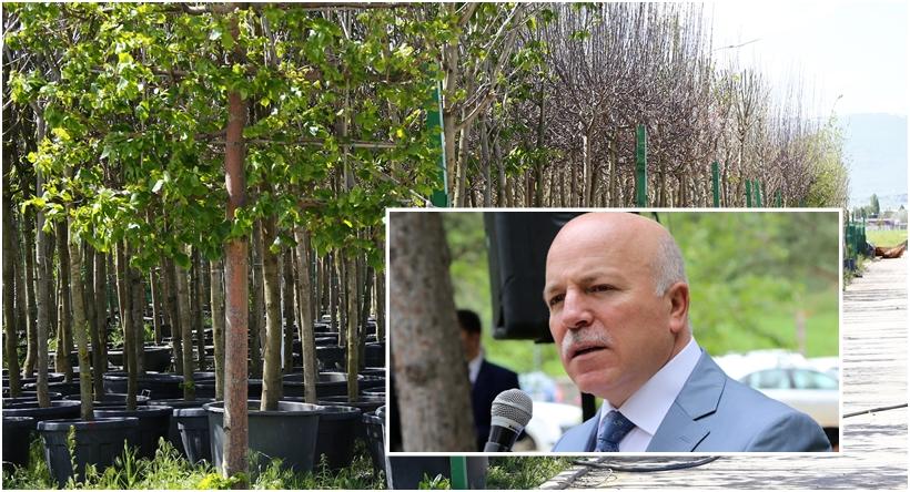 Büyükşehir Kendi Fidanını Üretiyor