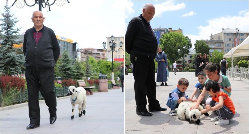 Selami Dede’nin Yetim Kuzuları