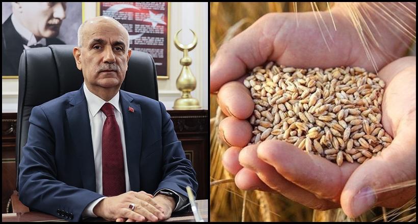 Buğday Rekoltenin Üstünde