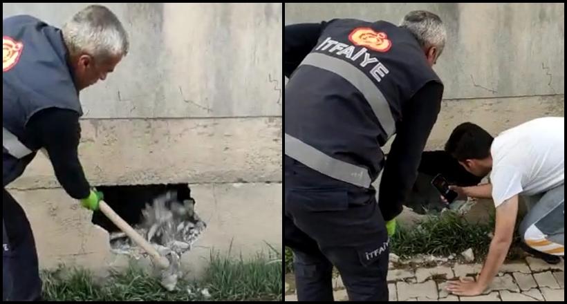 İtfaiyeden Kedi Operasyonu