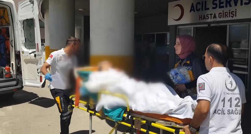 Ayı Saldırısında Ağır Yaralandı