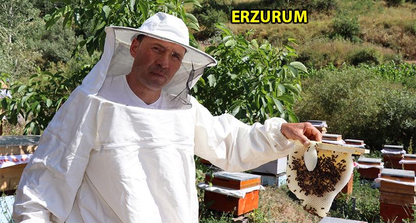 Şeker Hastaları İçin Bal Üretiyor