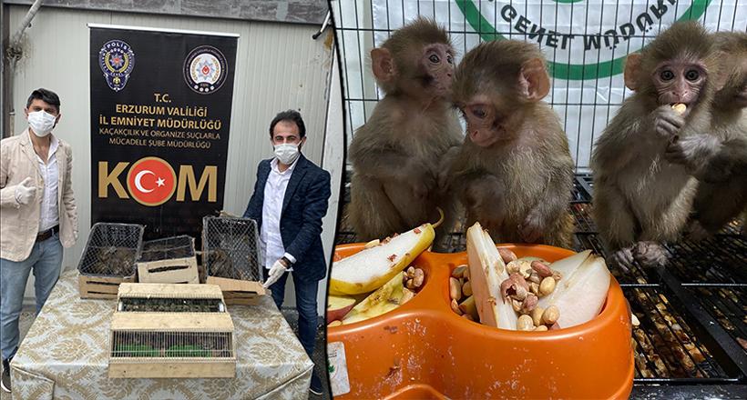 Polis Kaçakçıların Elinden Kurtardı
