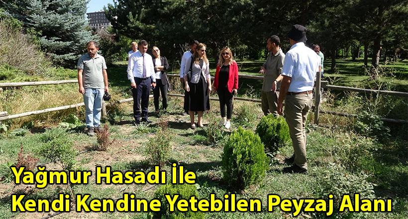 Yağmur Hasadı İle Kendi Kendine Yetebilen Peyzaj Alanı