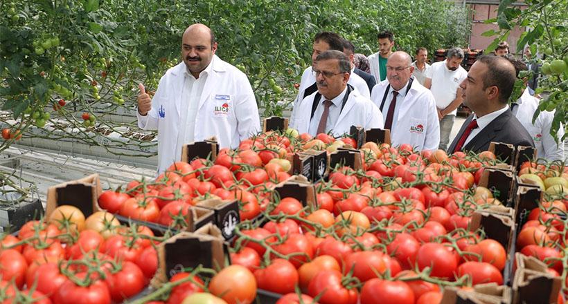 Aziziye Seralarına Tarım Kredi Çıkarması