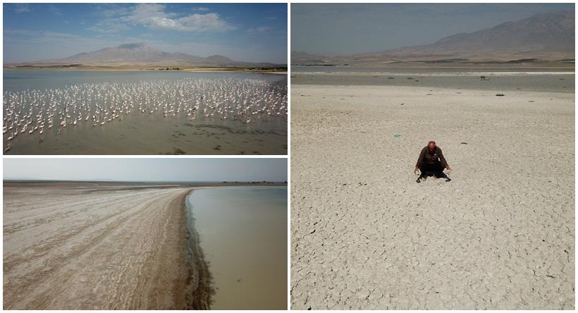 Kuş Cennetinde Tehlike Çanları