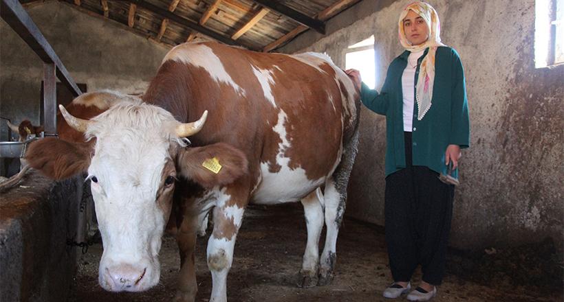 Üniversiteyi Bitirdi Besici Oldu