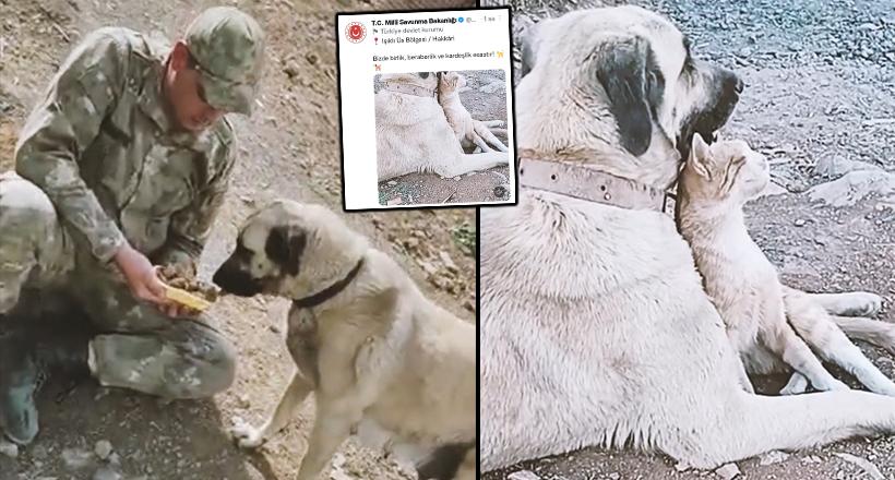 Mehmetçiğin Paylaşımı Büyük İlgi Gördü