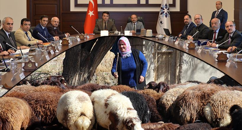 Küçükbaş Hayvancılığa Farklı Bakış!