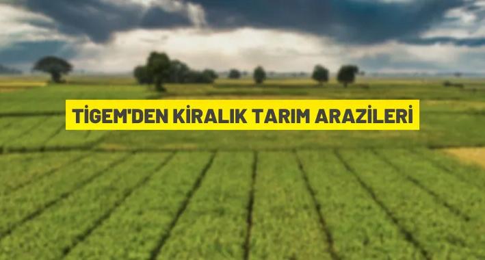 Çukurova Tarım İşletmesi Müdürlüğü, tarım arazilerini kiraya verecek