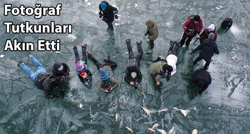 Fotoğraf tutkunları akın etti