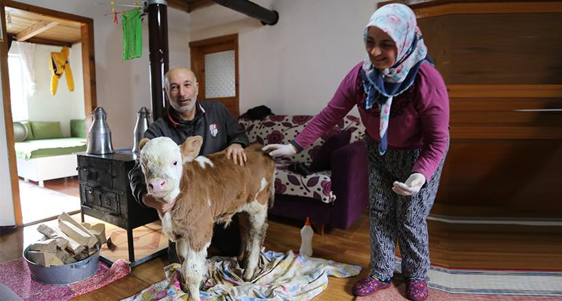 Evin maskotu oldu