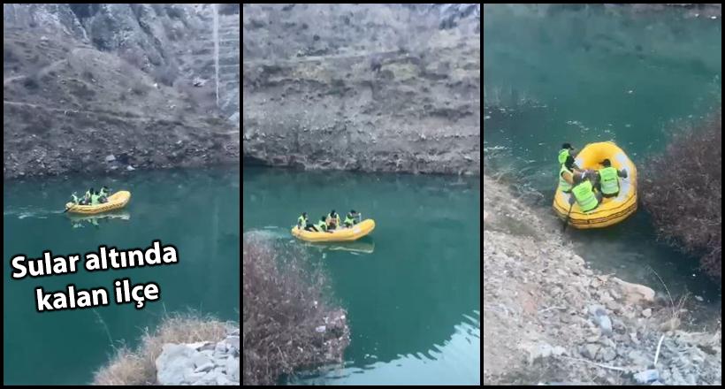 Sokak köpekleri tahliye ediliyor