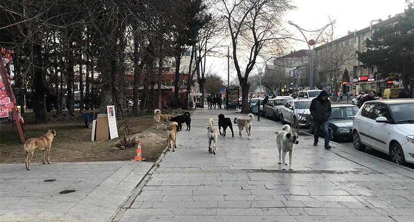 Sosyal medyada gündem oldu