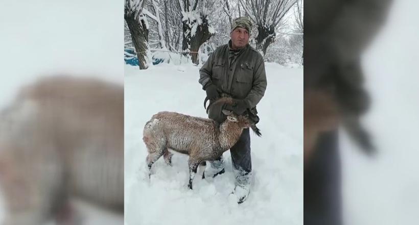 Saldırıdan muhtar kurtardı
