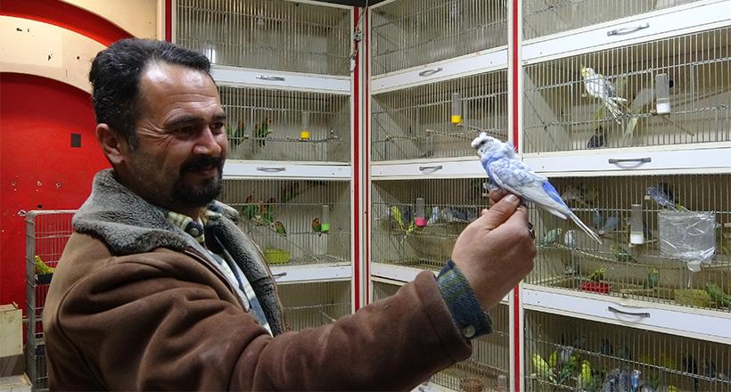 Deprem kuşuna talep patlaması