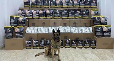 Bingöl'de 76 kilo kaçak tütün ele geçirildi: 1 gözaltı