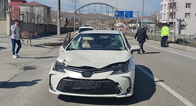 Kazaya sebep oldular