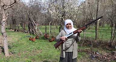 68 yaşında Gülistan teyzenin çakal nöbeti!