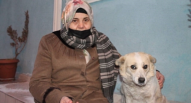 Alkış sesi duyunca oynamaya başlıyor