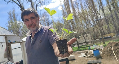 Bahçesinde 300 bin doğal fide üretip Türkiye'nin her yerine gönderiyor