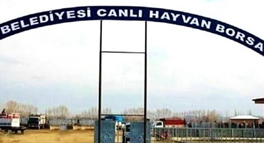 Canlı Hayvan Borsası yarın açılıyor