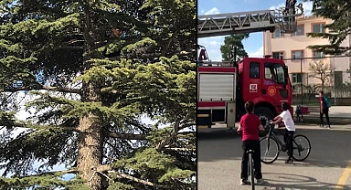Çıktığı ağaçtan inemeyen çocuğu itfaiye kurtardı