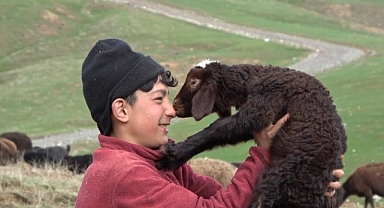 Çocuk çoban ile kuzunun dostluğu duygulandırdı