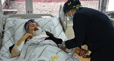Erzurum'da 4 kişiyi yaralayan kurt, kuduz çıktı, köy karantinada