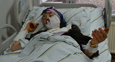 Erzurum'da kurt dehşeti : 4 yaralı