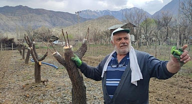 Erzurum'da tek başına bin 500 fidan yetiştiriyor