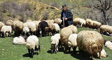 Eski hükümlü hibe desteğiyle sürü sahibi oldu