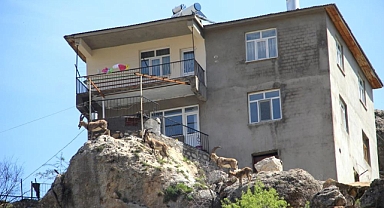 Görenler heykel sandı: ilçeyi mesken tuttular