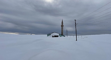 İlkbaharda kar altında kaldılar
