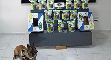İran plakalı otobüste ele geçirildiler