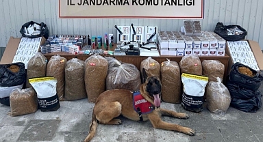 Jandarmadan geçit yok!