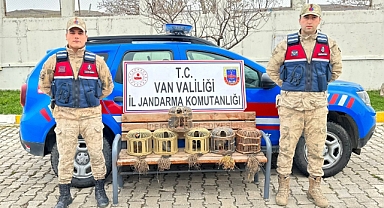 Jandarmanın ele geçirdiği 8 keklik ekiplere teslim edildi