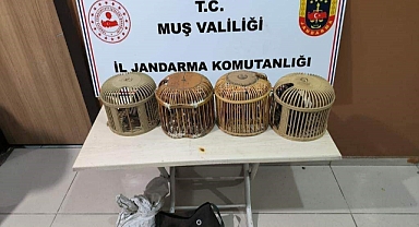 Kaçak avcılar jandarmadan kurtulamadı