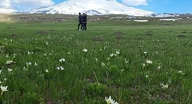Kardelenler açtı