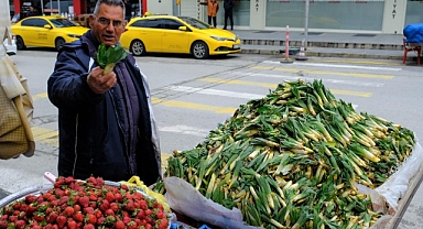 Lezzet ve şifa deposu... tezgahlarda yerini aldı