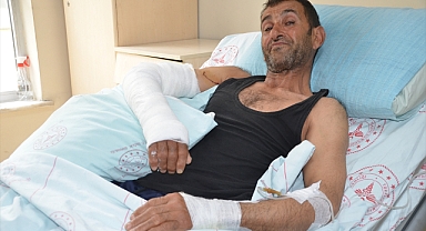 Ot toplarken ayı saldırdı!