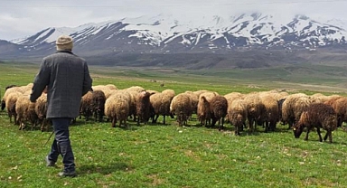 Sürülerin dağ eteklerine yolculuğu başladı