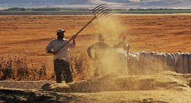 Tarımsal girdi endeksi arttı