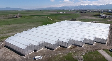 Türkiye’nin gözdesi: Haftaya toprakla buluşuyor