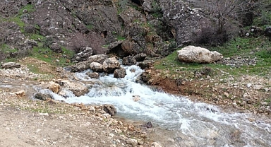 Yıllardır kurumuştu.. Depremden sonra tekrar çıktı