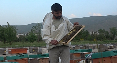 100 bin kovandan 600 ton bal